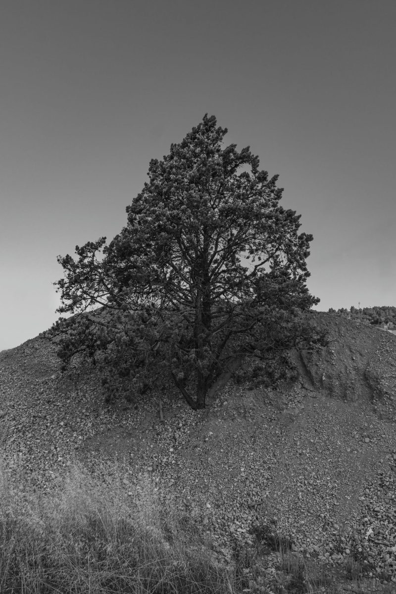 apstraktna-42